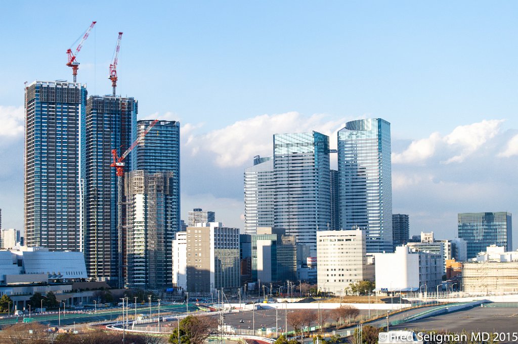 20150311_165821 D3S.jpg - Views of Tokyo from harbor, leaving Tokyo